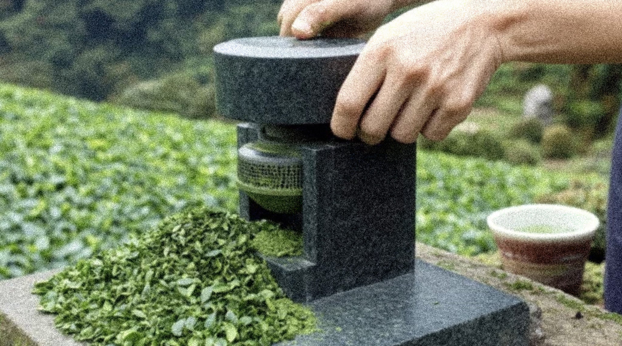 What is Ceremonial Matcha